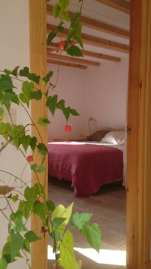 Casa Turreta Daire Ansó Dış mekan fotoğraf