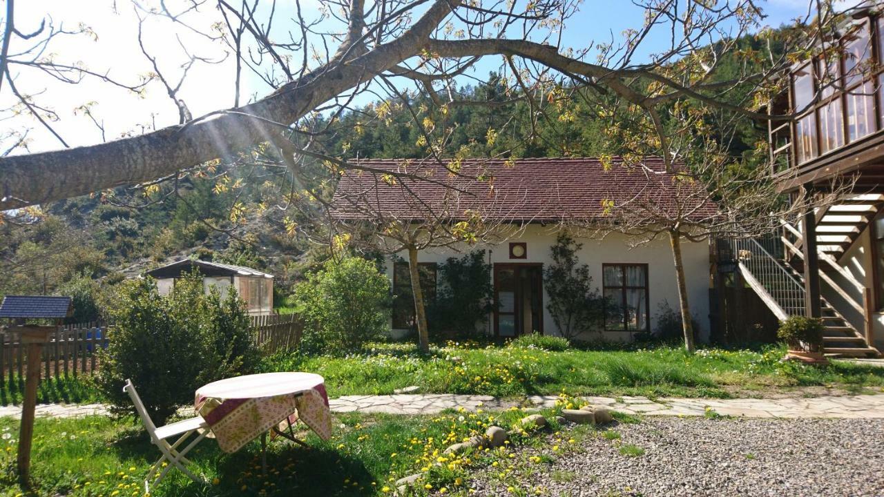 Casa Turreta Daire Ansó Dış mekan fotoğraf