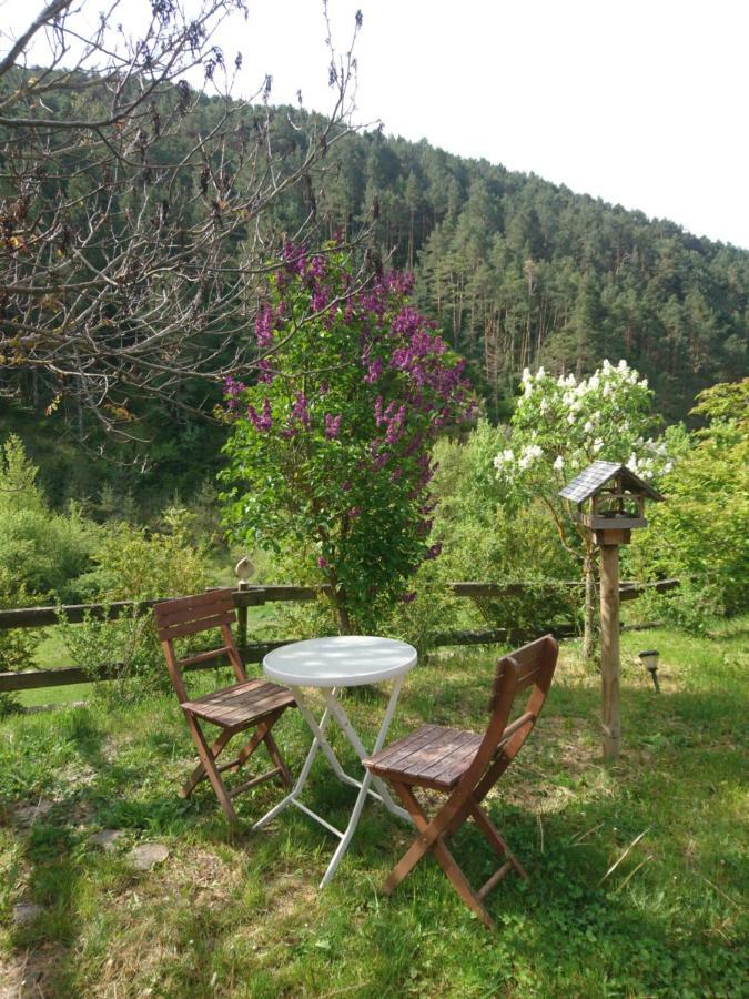 Casa Turreta Daire Ansó Dış mekan fotoğraf