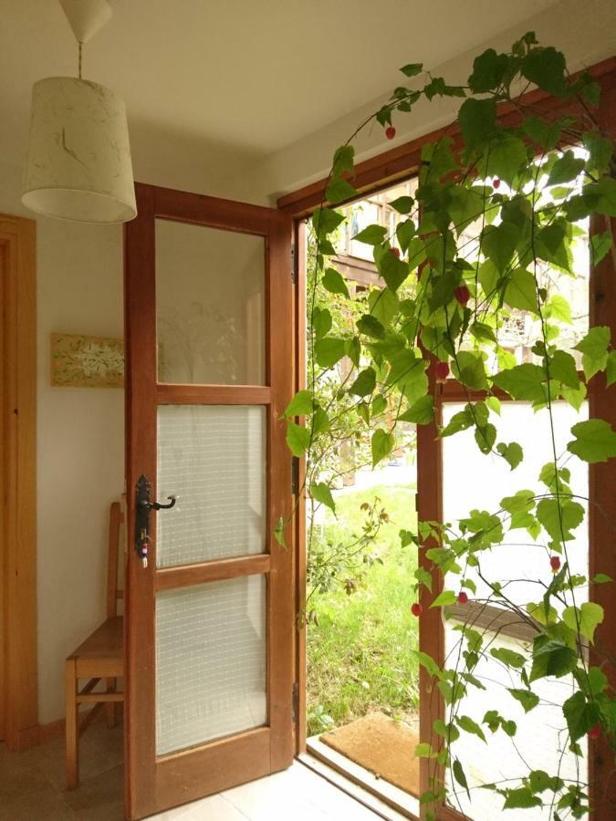 Casa Turreta Daire Ansó Dış mekan fotoğraf